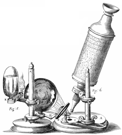 gravura do Microscópio de Hooke