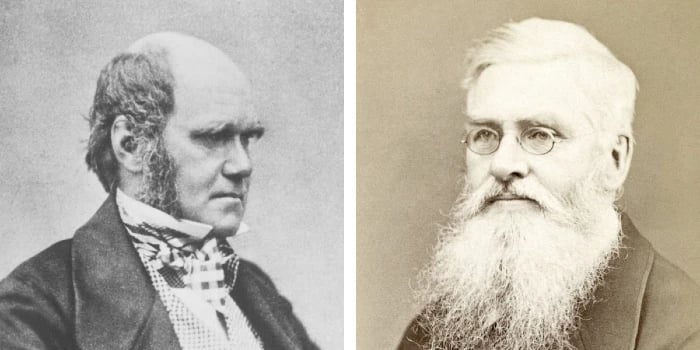 Fotografias de Charles Darwin e Alfred Wallace, naturalistas que contribuíram com ideias decisivas para as teorias da evolução. Domínio público/Wikimedia Commons.